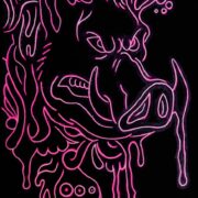Angry Pig Outline / Apr2021