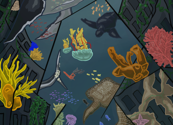 Tidal Wave / Mar2024