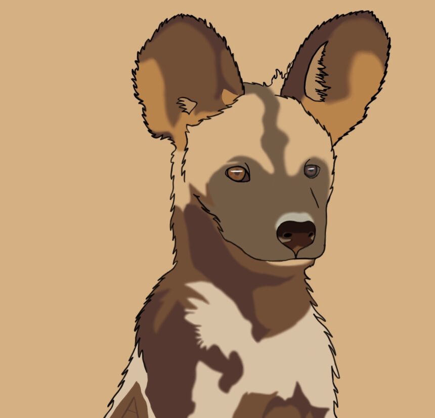 Aahan_WildDog_May2022 Wild Dog / May2022